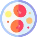 Anemia