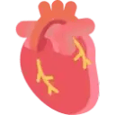 Heart Disorder