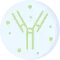 Immunoglobulins