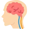 Multiple Sclerosis