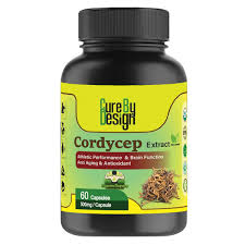 Cure By Design Cordycep Mushroom Extract