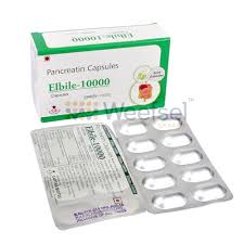 Pancreatin Enzyme Capsule